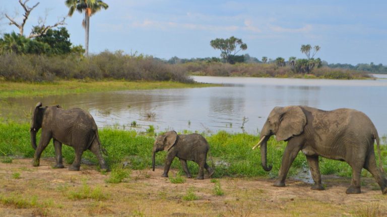 Is Tanzania A Good Place To Holiday?