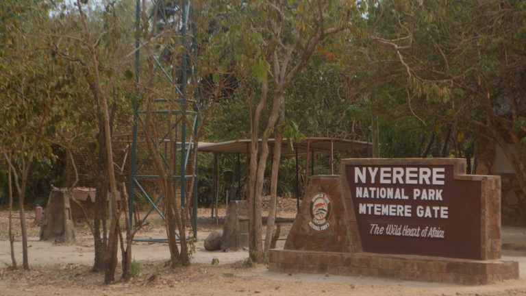 Which is Better: Serengeti or Selous?
