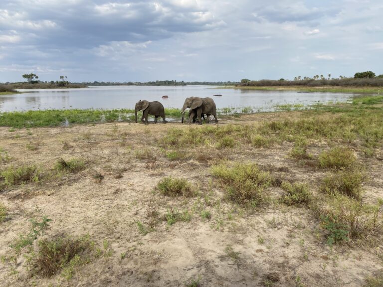 Is Selous Worth Visiting?